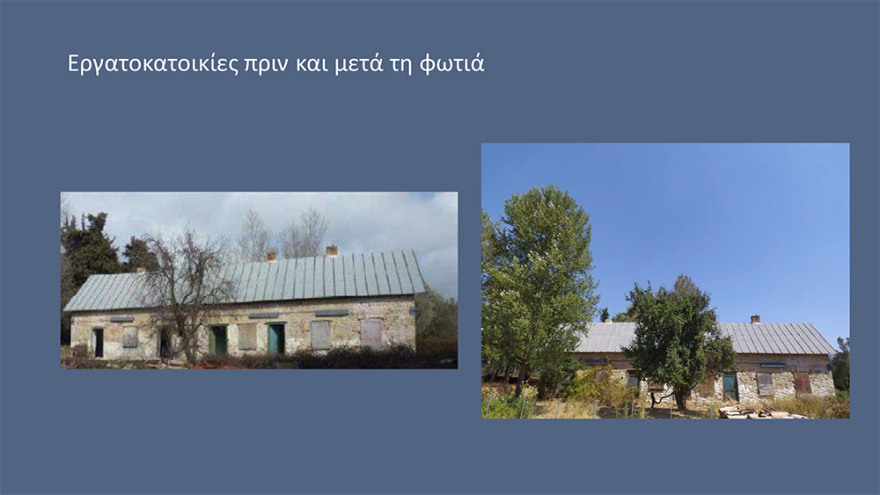 Μενδώνη για Τατόι: Χάθηκε μεγάλο μέρος του δάσους - Ζημιές σε επτά κτίρια - Τι έγινε με τα κοντέινερ