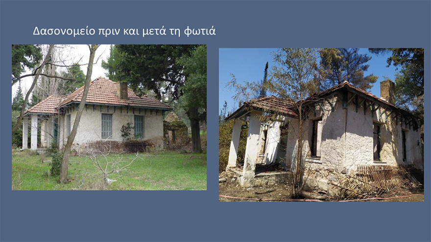 Μενδώνη για Τατόι: Χάθηκε μεγάλο μέρος του δάσους - Ζημιές σε επτά κτίρια - Τι έγινε με τα κοντέινερ