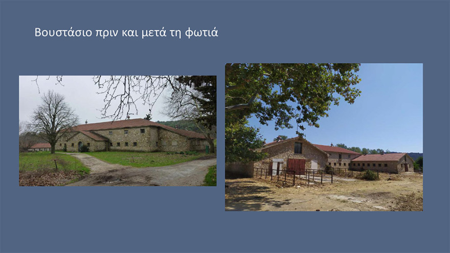 Μενδώνη για Τατόι: Χάθηκε μεγάλο μέρος του δάσους - Ζημιές σε επτά κτίρια - Τι έγινε με τα κοντέινερ