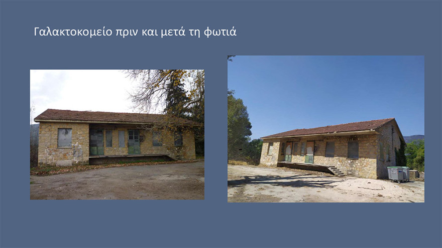 Μενδώνη για Τατόι: Χάθηκε μεγάλο μέρος του δάσους - Ζημιές σε επτά κτίρια - Τι έγινε με τα κοντέινερ