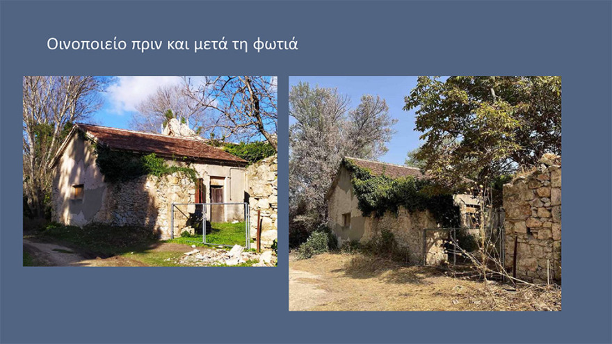 Μενδώνη για Τατόι: Χάθηκε μεγάλο μέρος του δάσους - Ζημιές σε επτά κτίρια - Τι έγινε με τα κοντέινερ