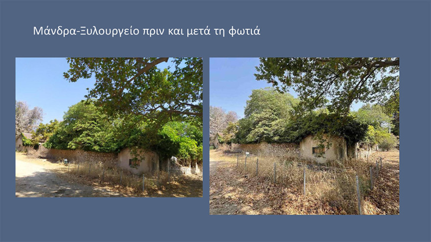 Μενδώνη για Τατόι: Χάθηκε μεγάλο μέρος του δάσους - Ζημιές σε επτά κτίρια - Τι έγινε με τα κοντέινερ