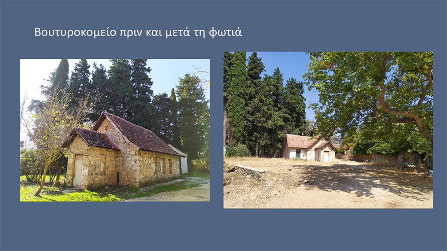 Μενδώνη για Τατόι: Χάθηκε μεγάλο μέρος του δάσους - Ζημιές σε επτά κτίρια - Τι έγινε με τα κοντέινερ