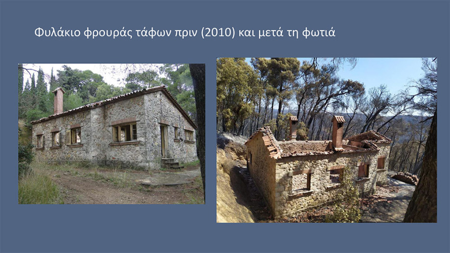 Μενδώνη για Τατόι: Χάθηκε μεγάλο μέρος του δάσους - Ζημιές σε επτά κτίρια - Τι έγινε με τα κοντέινερ