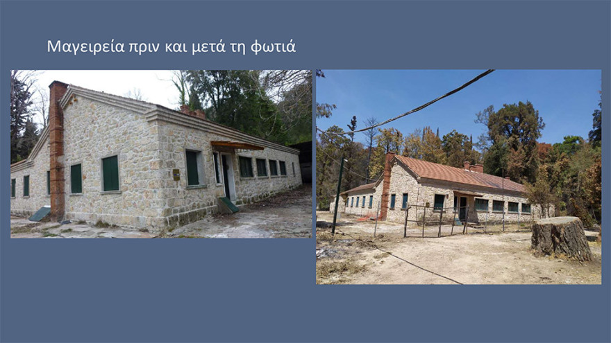 Μενδώνη για Τατόι: Χάθηκε μεγάλο μέρος του δάσους - Ζημιές σε επτά κτίρια - Τι έγινε με τα κοντέινερ