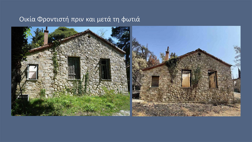 Μενδώνη για Τατόι: Χάθηκε μεγάλο μέρος του δάσους - Ζημιές σε επτά κτίρια - Τι έγινε με τα κοντέινερ