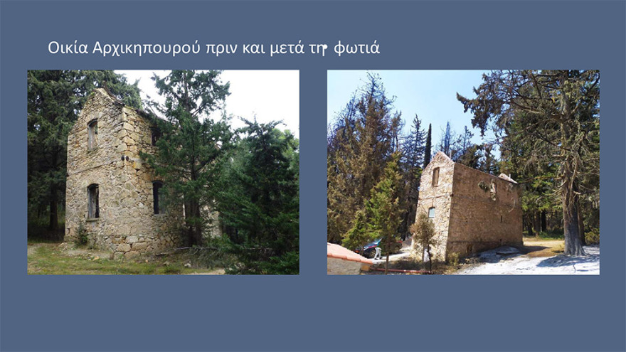 Μενδώνη για Τατόι: Χάθηκε μεγάλο μέρος του δάσους - Ζημιές σε επτά κτίρια - Τι έγινε με τα κοντέινερ