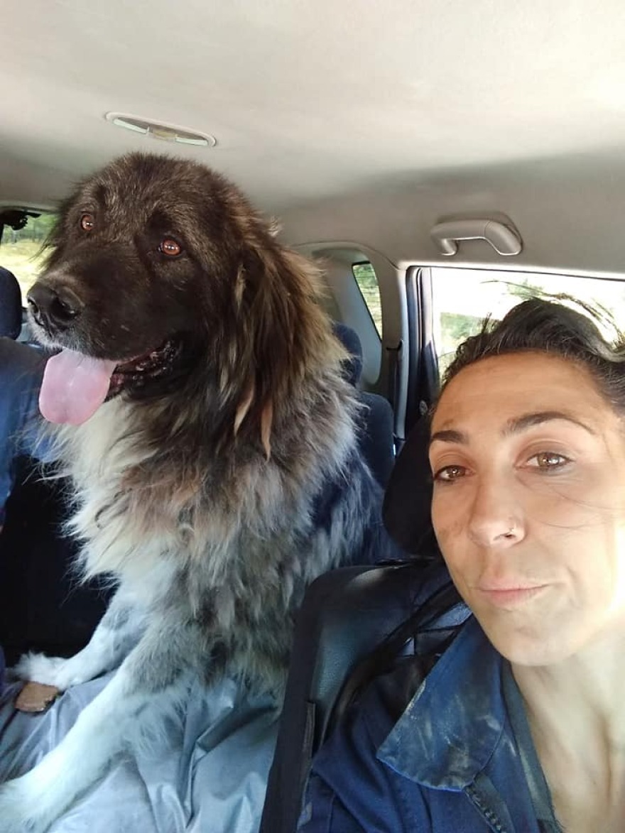 Το οδοιπορικό στην «κόλαση» της Βαρυμπόμπης από την εθελόντρια, Κατερίνα Ιωαννίδου - Βίντεο και φωτογραφίες