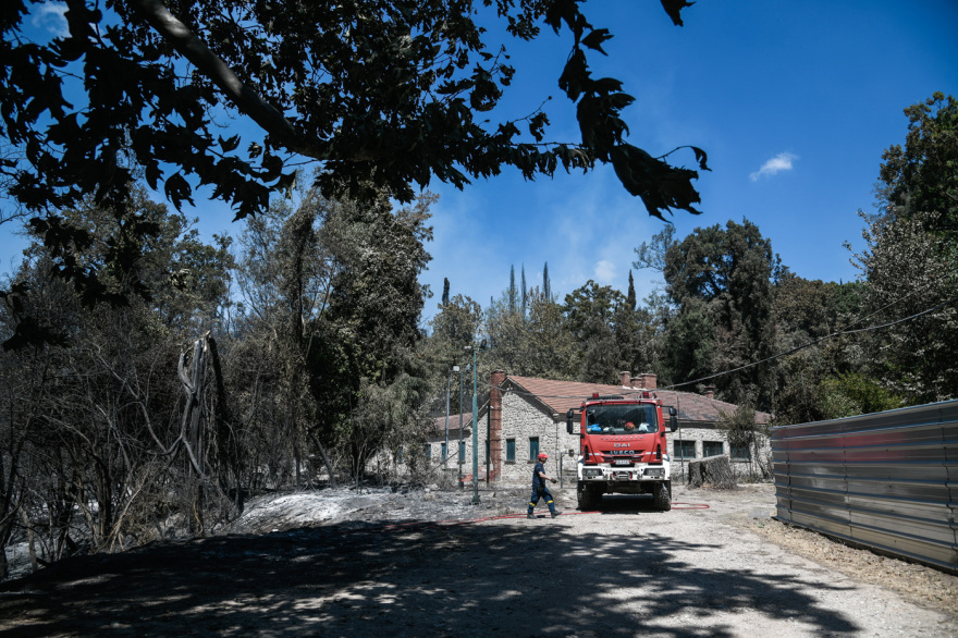 Μενδώνη για Τατόι: Χάθηκε μεγάλο μέρος του δάσους - Ζημιές σε επτά κτίρια - Τι έγινε με τα κοντέινερ