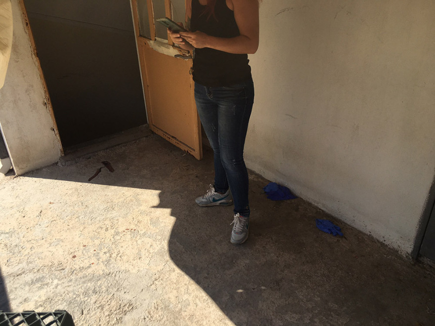 Γαλάτσι - Τι έγινε με τον πυροβολισμό σκύλου: Για δολοφονία μιλούν οι ιδιοκτήτες, για αυτοάμυνα η ΕΛ.ΑΣ.