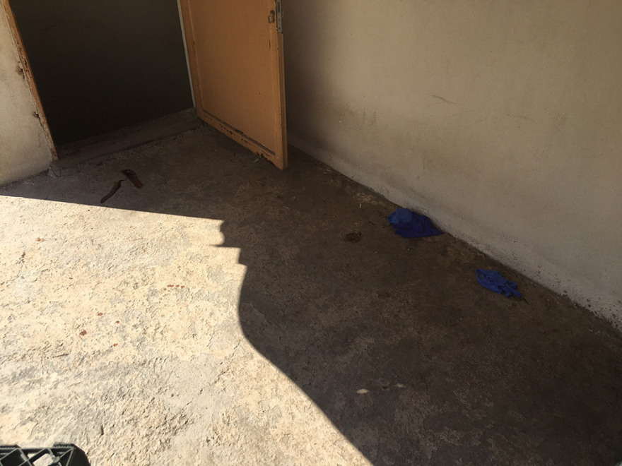 Γαλάτσι - Τι έγινε με τον πυροβολισμό σκύλου: Για δολοφονία μιλούν οι ιδιοκτήτες, για αυτοάμυνα η ΕΛ.ΑΣ.