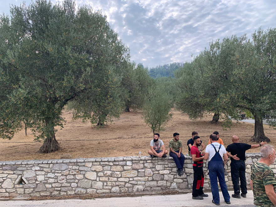 Φωτιές: Ενεργό το πύρινο μέτωπο στη Γορτυνία - Σηκώθηκαν τα εναέρια μέσα για να συνδράμουν στην κατάσβεση 