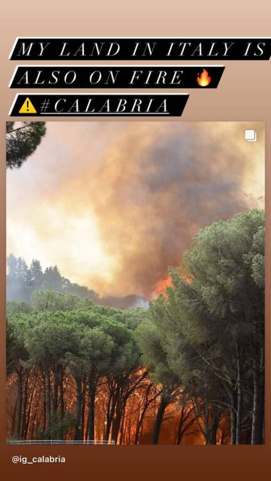 Δωροθέα Μερκούρη για την πυρκαγιά στην Καλαβρία: «Η χώρα μου είναι στις φλόγες, η γη μας»