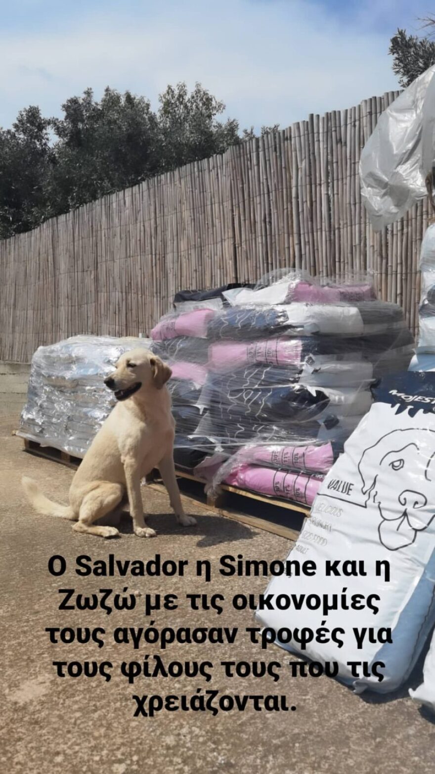 Λεωνίδας Κουτσόπουλος: Προσφορά αγάπης προς τα πυρόπληκτα ζώα 