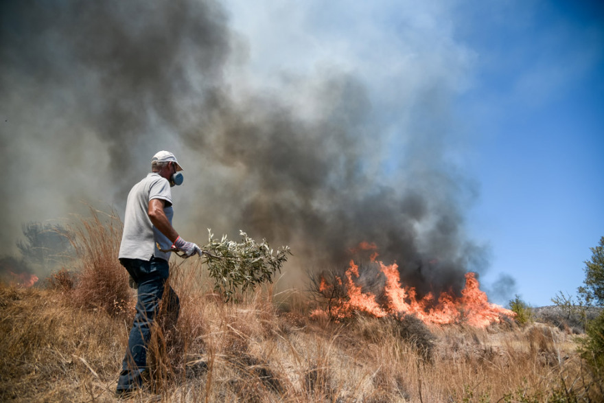  Αττική: Ολονύχτια μάχη να μην φτάσουν στα Βίλια οι φλόγες - Έτοιμοι να εκκενώσουν οι κάτοικοι