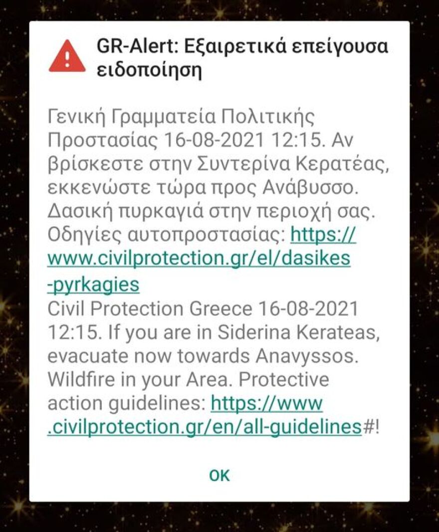  Αττική: Ολονύχτια μάχη να μην φτάσουν στα Βίλια οι φλόγες - Έτοιμοι να εκκενώσουν οι κάτοικοι