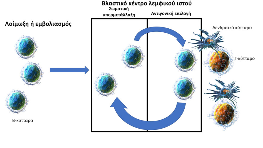 Εμβόλια για τον κορωνοϊό: Πόσο αναγκαία είναι η ενισχυτική δόση - Πώς «δουλεύει» με τα αντισώματα