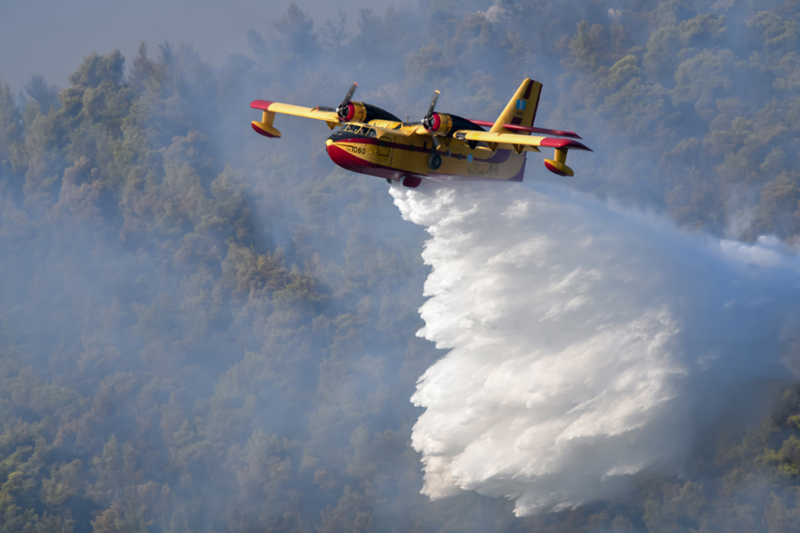 Φωτιές στην Αττική: Δεύτερη νύχτα αγωνίας στα Βίλια - Στις φλόγες το όρος Πατέρα