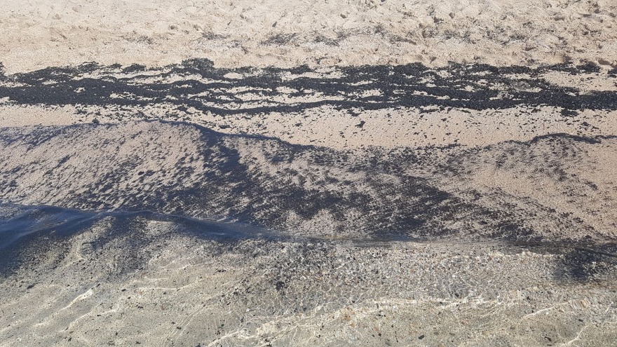 Φωτιά στην Εύβοια: Γέμισε με αποκαΐδια η παραλία στη Δροσιά Χαλκίδας