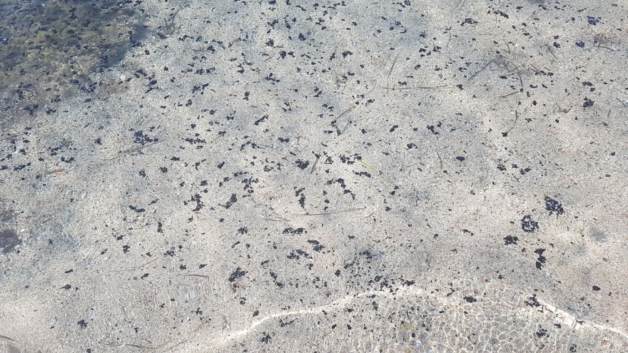 Φωτιά στην Εύβοια: Γέμισε με αποκαΐδια η παραλία στη Δροσιά Χαλκίδας