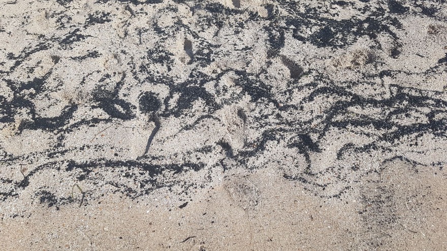 Φωτιά στην Εύβοια: Γέμισε με αποκαΐδια η παραλία στη Δροσιά Χαλκίδας