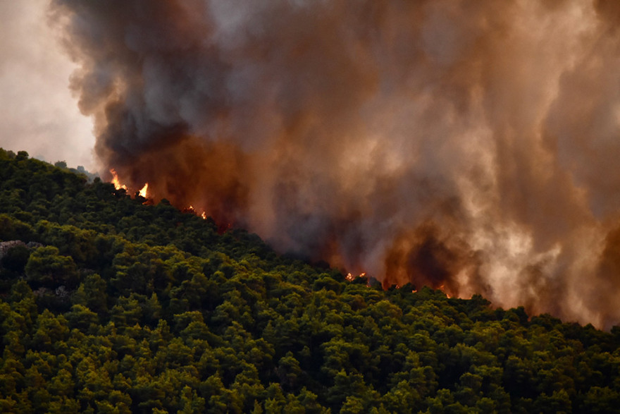 Τρίτη νύχτα αγωνίας για τα Βίλια: Στον Προφήτη Ηλία το βασικό μέτωπο της φωτιάς που γύρισε προς τα καμένα  - Μάχη με τις αναζωπυρώσεις