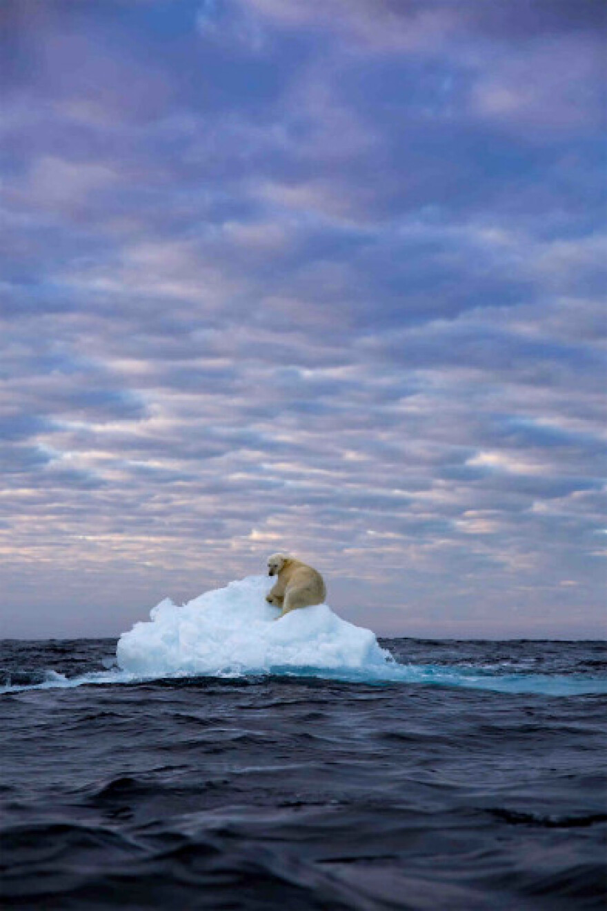 Οι εκπληκτικές εικόνες που συγκλόνισαν τους κριτές του Muse Photography Awards