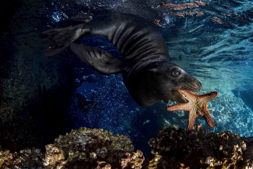 Οι εκπληκτικές εικόνες που συγκλόνισαν τους κριτές του Muse Photography Awards