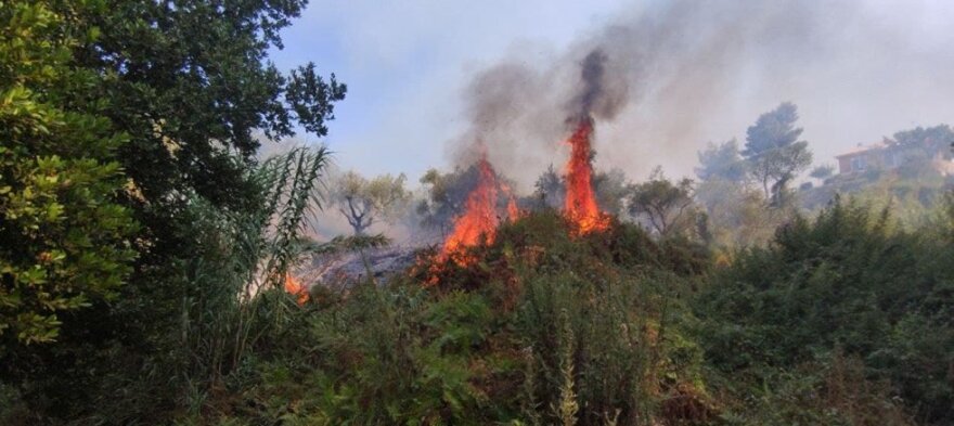 Ζάκυνθος: Φωτιά κοντά στην κοινότητα Αργάσι