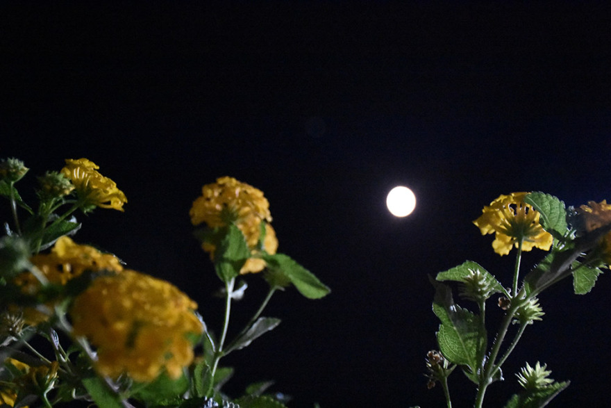 Υπέροχες εικόνες από την Αυγουστιάτικη πανσέληνο - Δείτε φωτογραφίες 