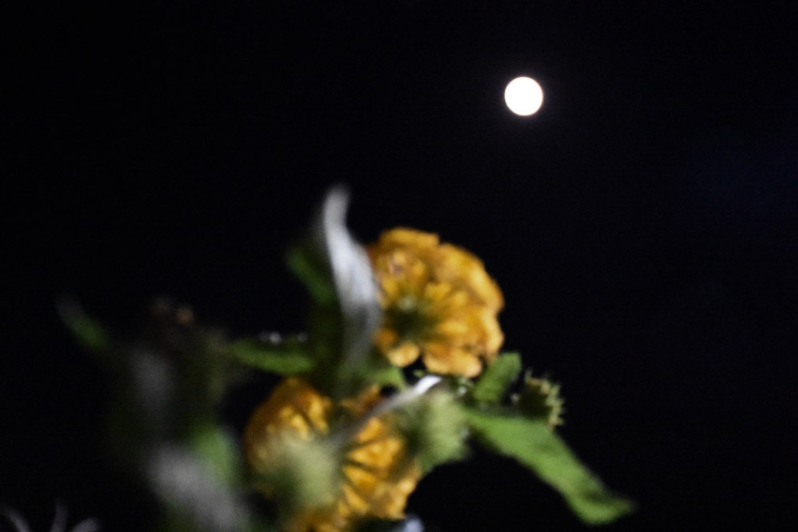 Υπέροχες εικόνες από την Αυγουστιάτικη πανσέληνο - Δείτε φωτογραφίες 