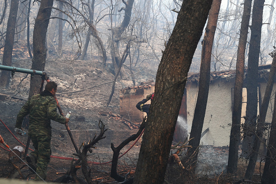Φωτιά στα Βίλια: Κάηκαν σπίτια στον οικισμό Προφήτης Ηλίας  - Στη μάχη με τις φλόγες 21 εναέρια μέσα