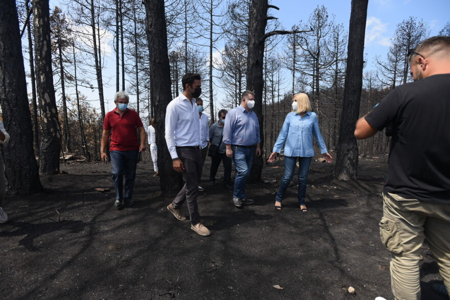 Γεννηματά: Στη Βόρεια Εύβοια η κυβέρνηση δοκιμάστηκε και απέτυχε