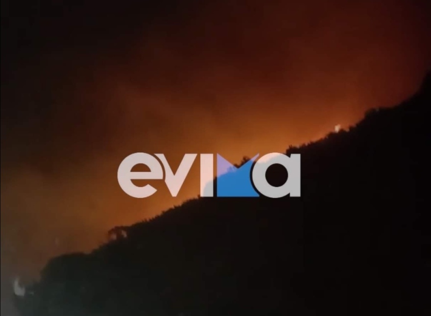 Φωτιά στην Κάρυστο: Καλύτερη η εικόνα -Οριοθετημένη στον οικισμό Κοκκίνη- Ζημιές σε σπίτια 