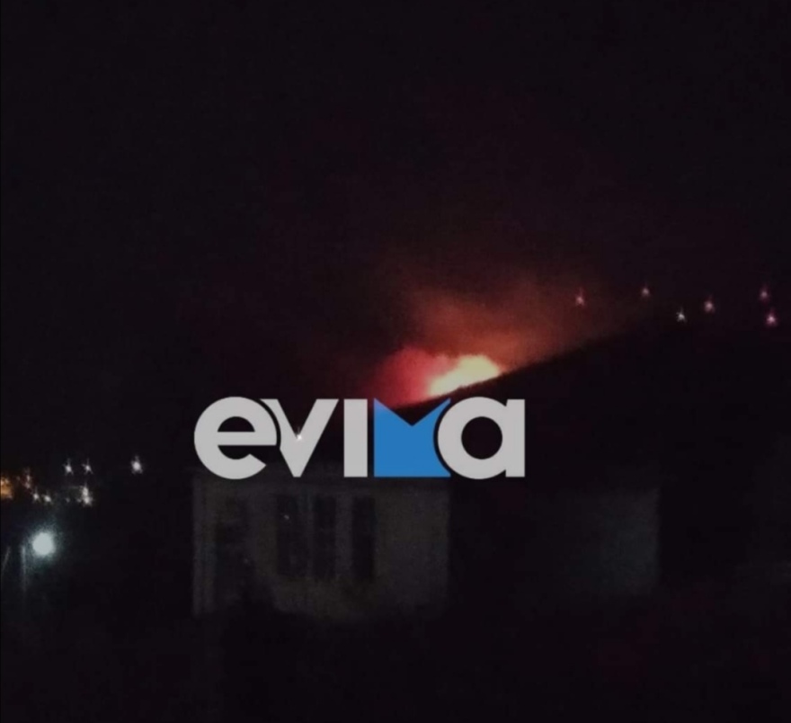 Νότια Εύβοια: Ολονύχτια μάχη με τις φλόγες στην περιοχή Φυγιά της Καρύστου - Φωτογραφίες