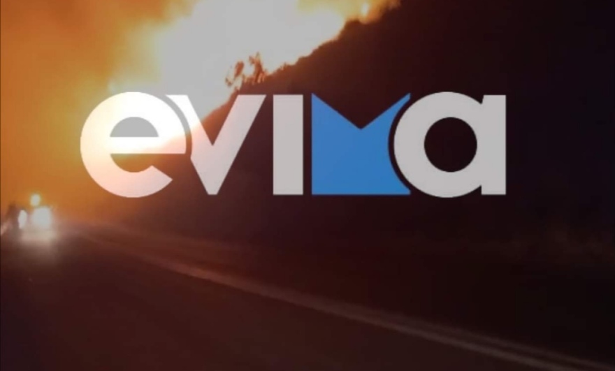 Φωτιά στην Κάρυστο: Καλύτερη η εικόνα -Οριοθετημένη στον οικισμό Κοκκίνη- Ζημιές σε σπίτια 