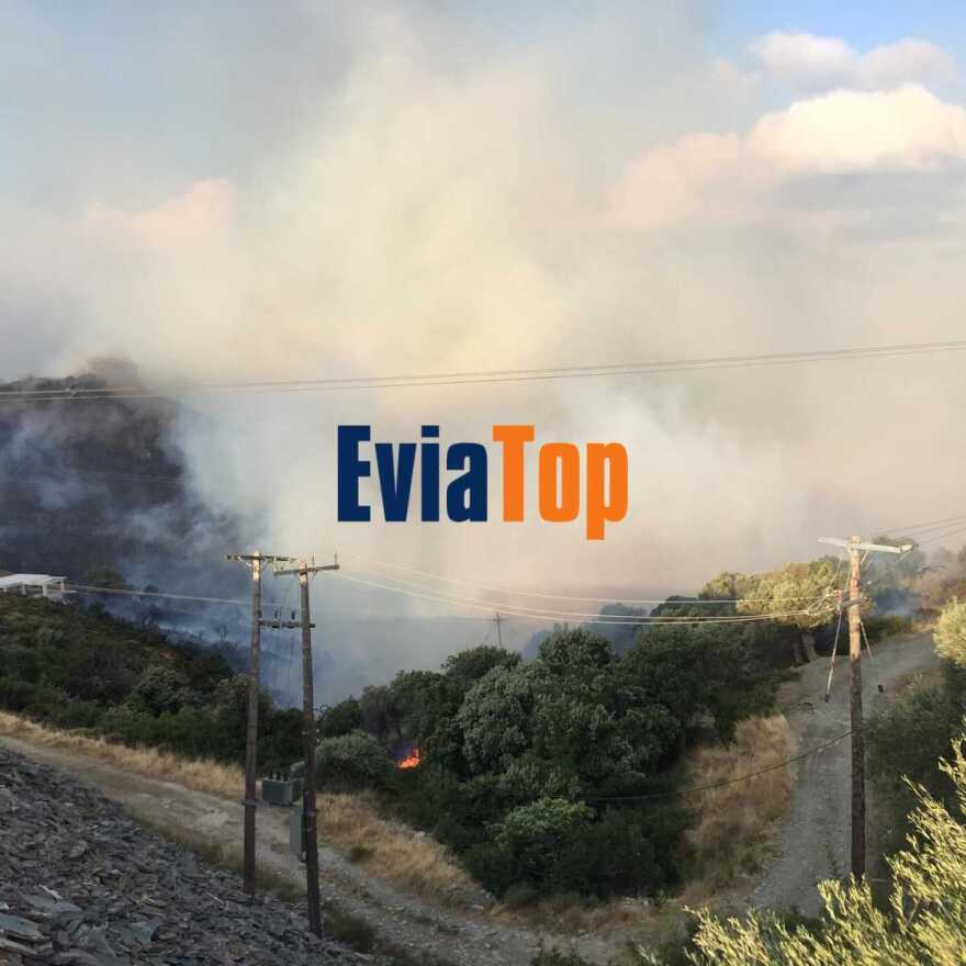 Φωτιά στην Κάρυστο: Καλύτερη η εικόνα -Οριοθετημένη στον οικισμό Κοκκίνη- Ζημιές σε σπίτια 