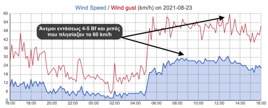 Φωτιά στα Βίλια: Μάχη με τα μποφόρ και τις αναζωπυρώσεις - Σε ύφεση το πύρινο μέτωπο