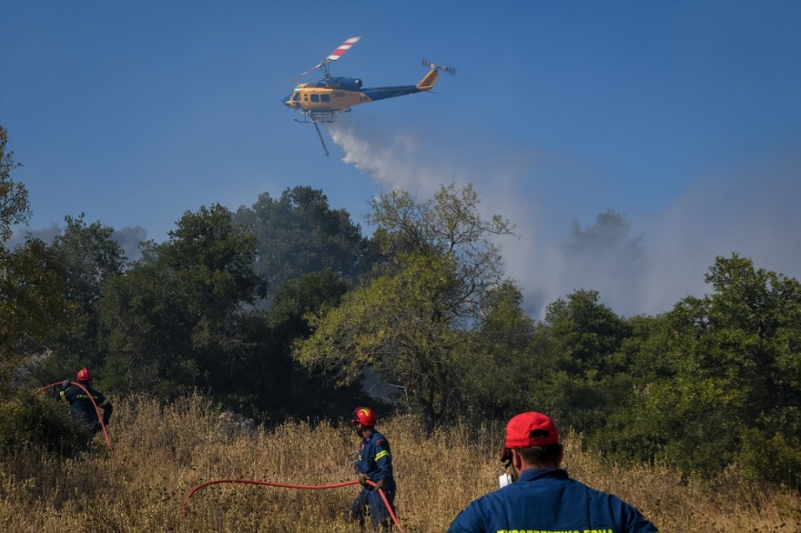 Φωτιά στα Βίλια: Μάχη με τα μποφόρ και τις αναζωπυρώσεις - Σε ύφεση το πύρινο μέτωπο