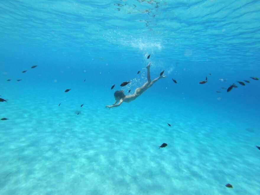 Μαρία Βοσκοπούλου: Οι εντυπωσιακές καλοκαιρινές λήψεις κάτω από το νερό 