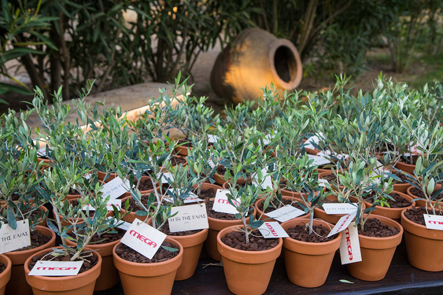  «Η Γη της Ελιάς»: Όλοι οι πρωταγωνιστές έδωσαν το παρόν στην  avant-première της σειράς (Φωτογραφίες)