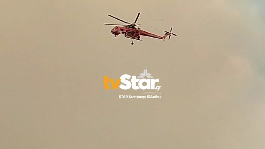 Φωτιά στη Φθιώτιδα - Υπό έλεγχο το πύρινο μέτωπο στο Λογγίτσι