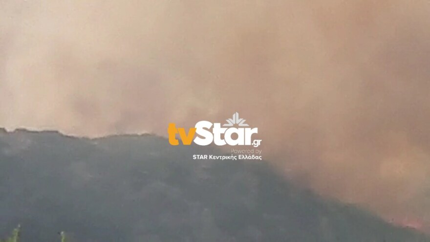 Φωτιά στη Φθιώτιδα - Υπό έλεγχο το πύρινο μέτωπο στο Λογγίτσι