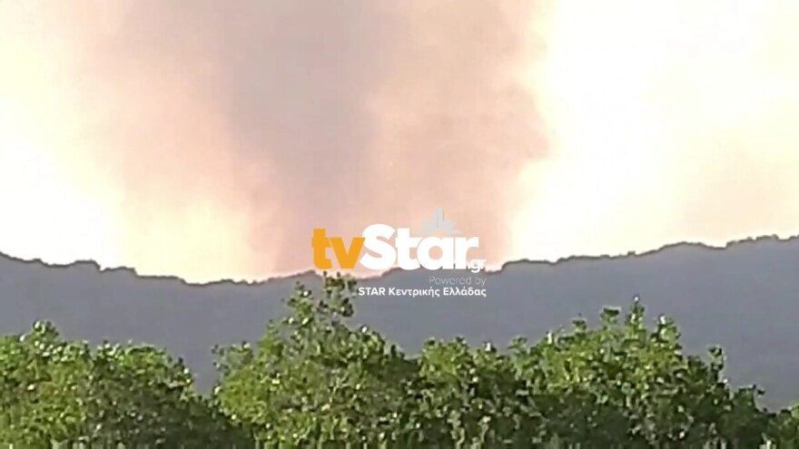 Φωτιά στη Φθιώτιδα - Υπό έλεγχο το πύρινο μέτωπο στο Λογγίτσι