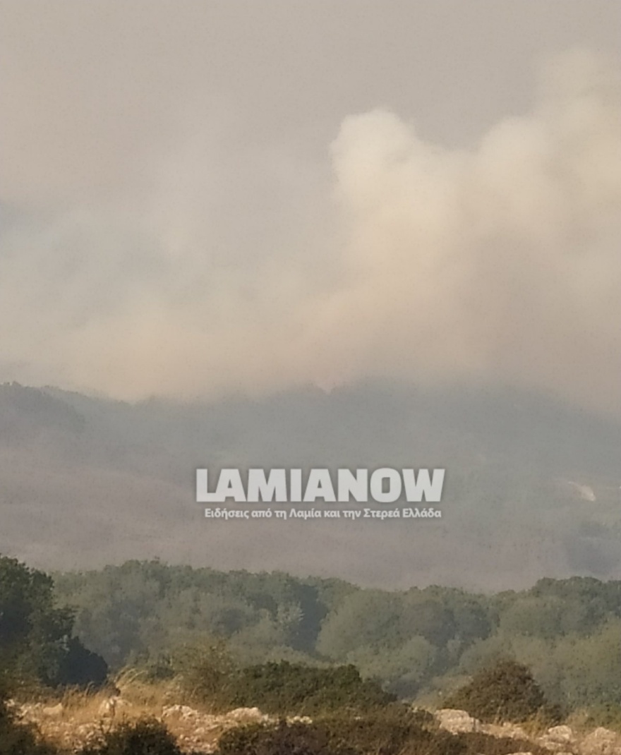 Φωτιά στη Φθιώτιδα - Υπό έλεγχο το πύρινο μέτωπο στο Λογγίτσι