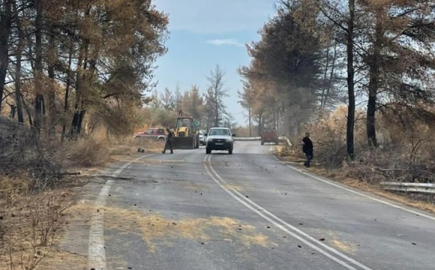 Φωτιές στην Εύβοια: Σε εξέλιξη καθαρισμοί δρόμων και έργα υλοτομίας - Νέες πληρωμές αποζημιώσεων σήμερα