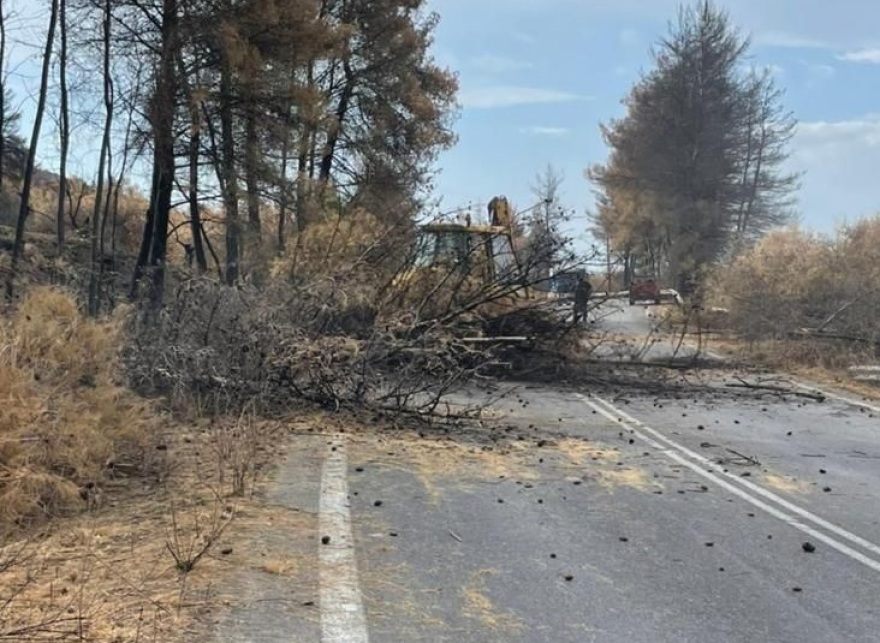 Φωτιές στην Εύβοια: Σε εξέλιξη καθαρισμοί δρόμων και έργα υλοτομίας - Νέες πληρωμές αποζημιώσεων σήμερα