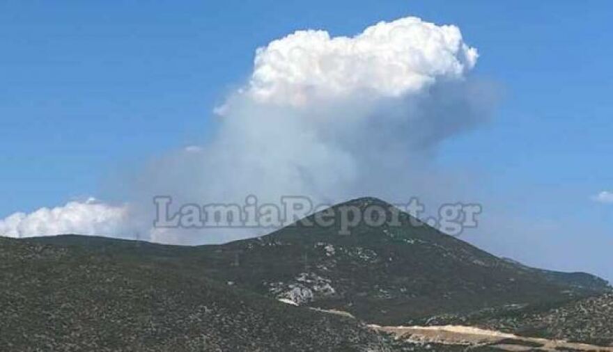 Φωτιά στη Φθιώτιδα - Υπό έλεγχο το πύρινο μέτωπο στο Λογγίτσι