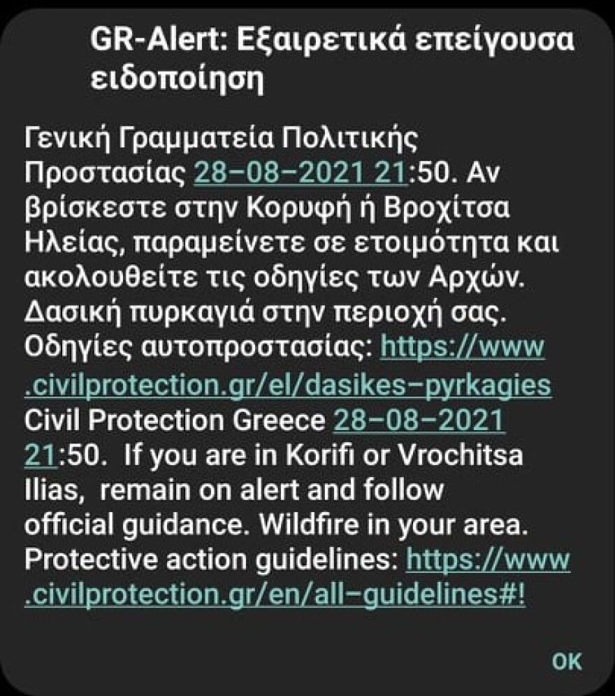 Ολονύχτια μάχη με τις φλόγες στην Ηλεία - Το μέτωπο κινείται προς τα Φωναΐτικα
