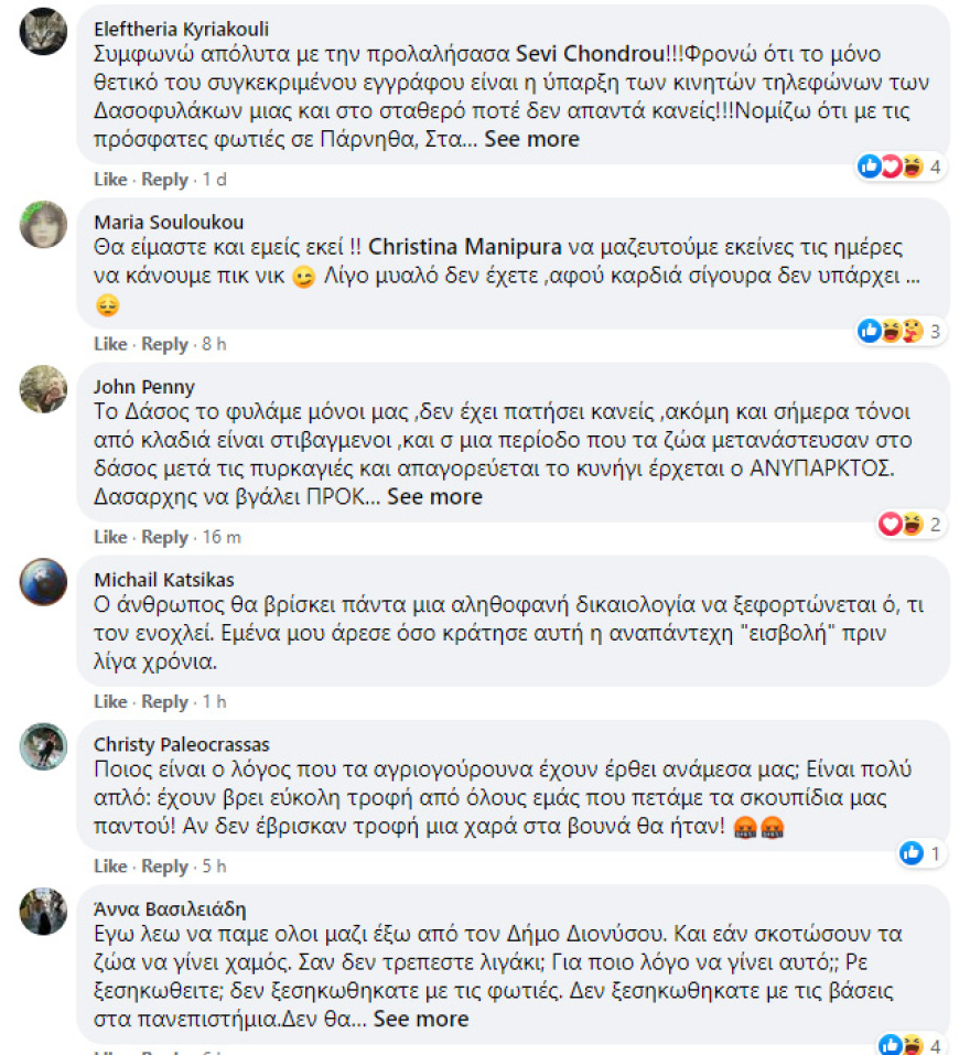 «Εκτελεστικό απόσπασμα» για... αγριογούρουνα στήνει το Δασαρχείο Πεντέλης στην Εκάλη